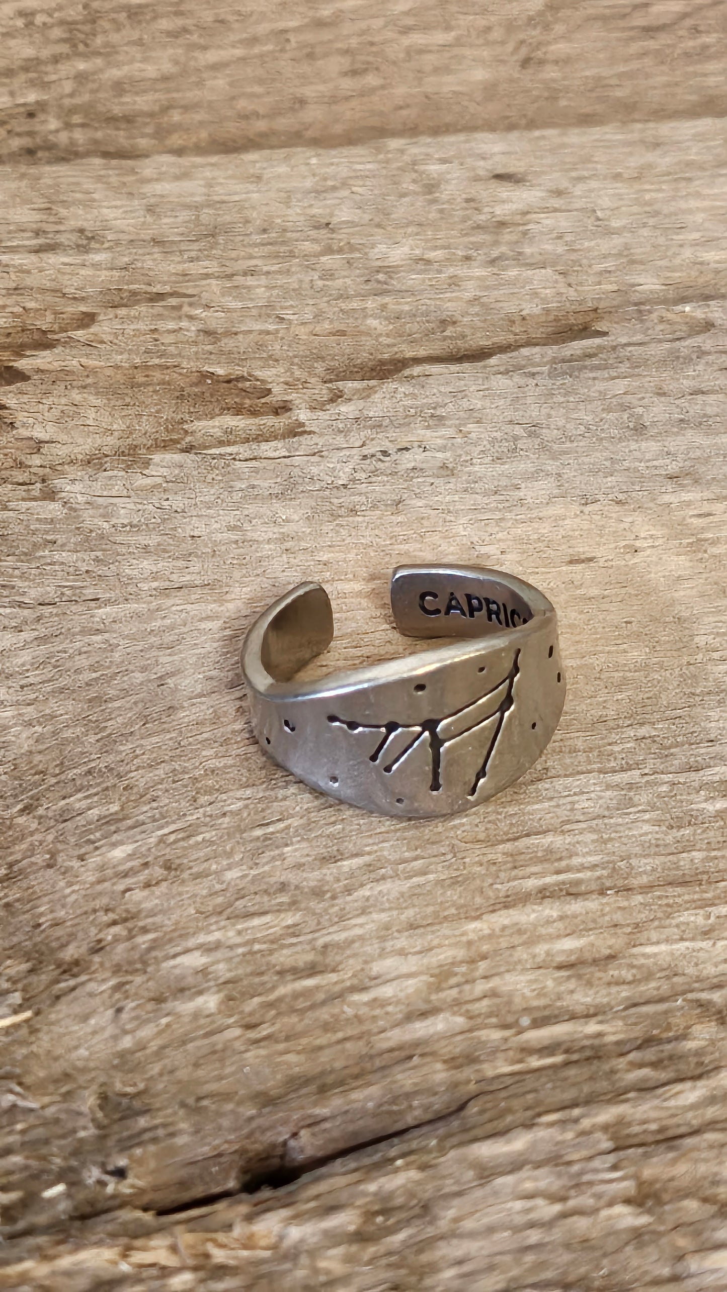 Capricorn stamped adjustable ring, Zodiac sign and constellation jewelry