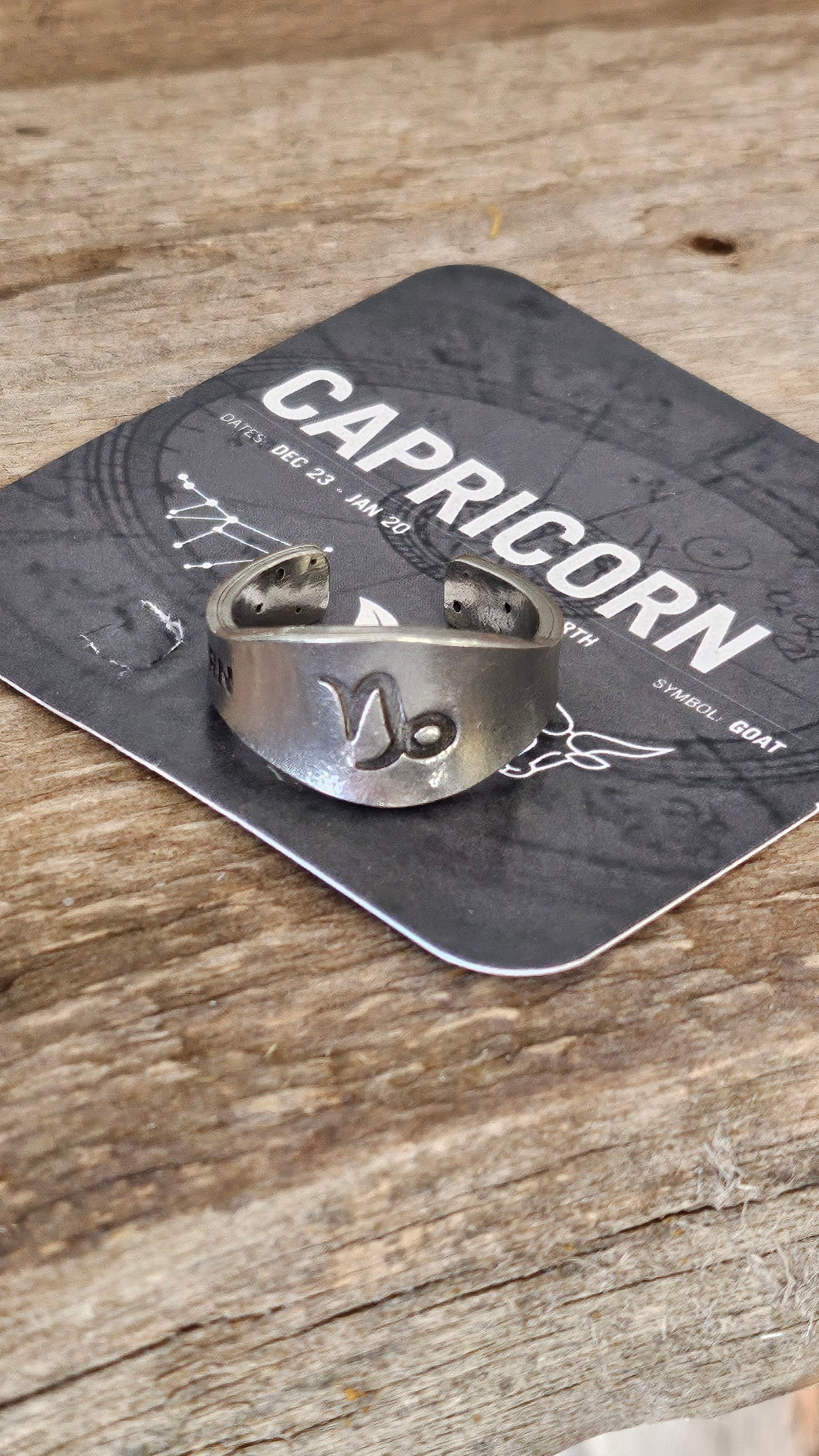 Capricorn stamped adjustable ring, Zodiac sign and constellation jewelry